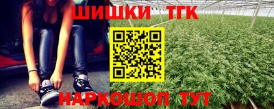 гашик Будённовск