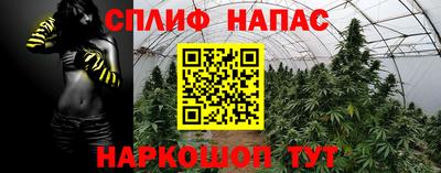 apvp Балахна