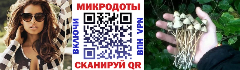 Псилоцибиновые грибы MAGIC MUSHROOMS  где купить   Гатчина 