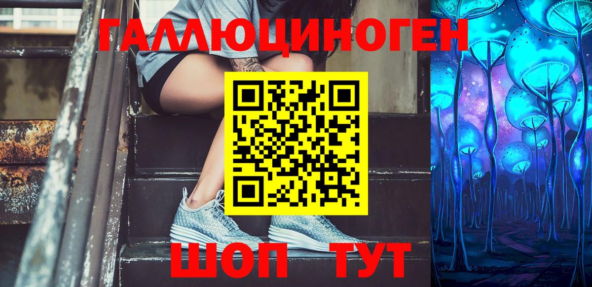 Гатчина  Псилоцибиновые грибы GOLDEN TEACHER  Вход с VPN 