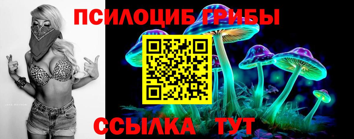 Галлюциногенные грибы Cubensis Гатчина