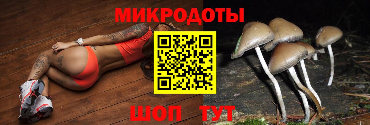 Галлюциногенные грибы Cubensis  Гатчина 