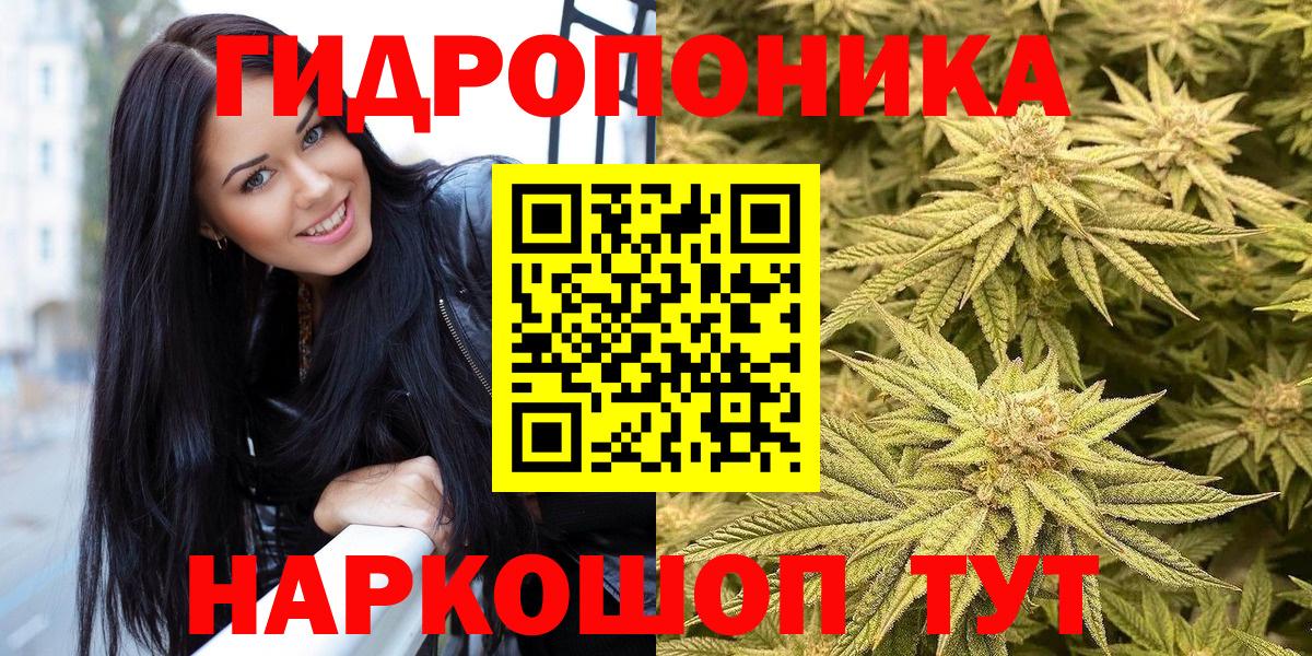 Галлюциногенные грибы Гатчина